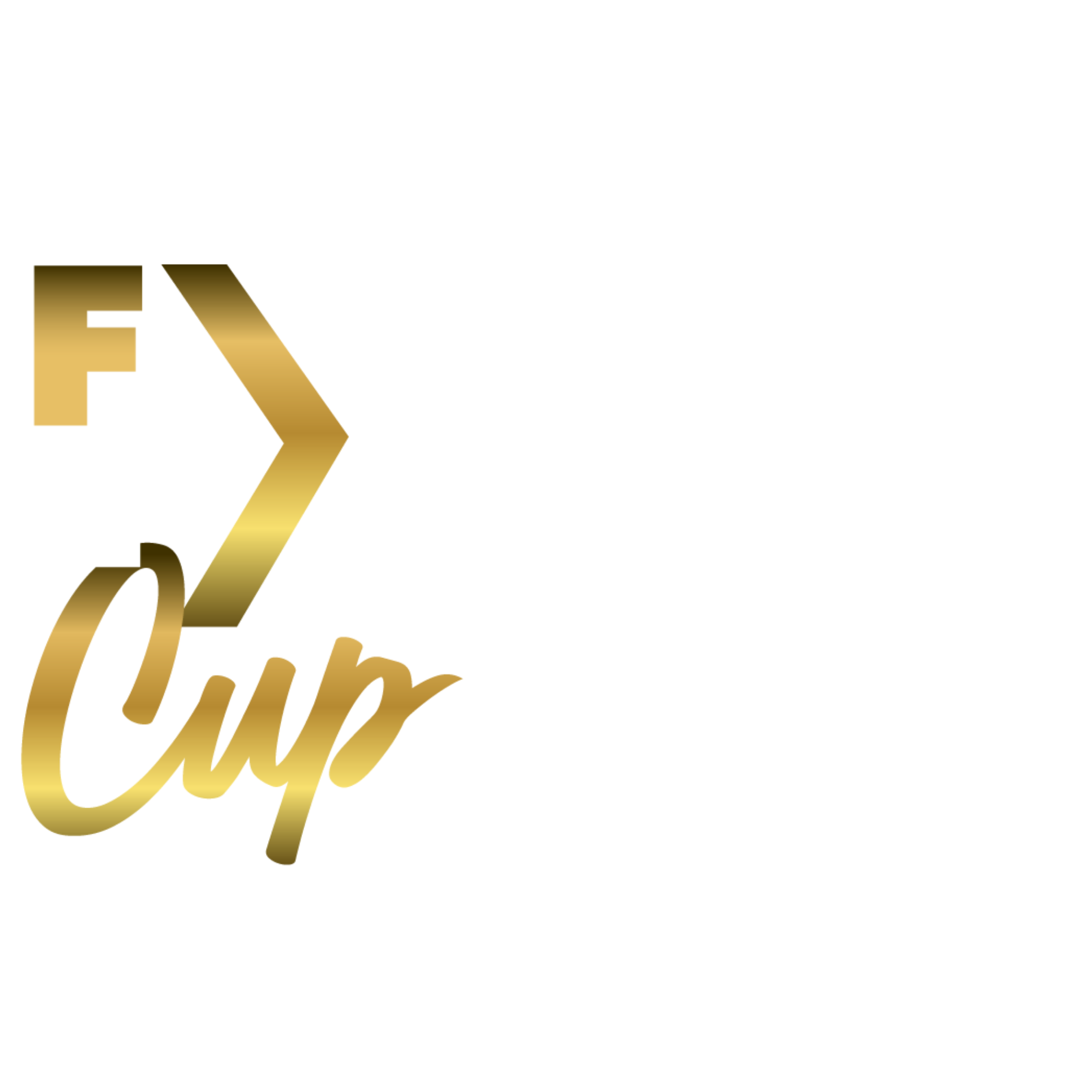 FX Experts Cup
