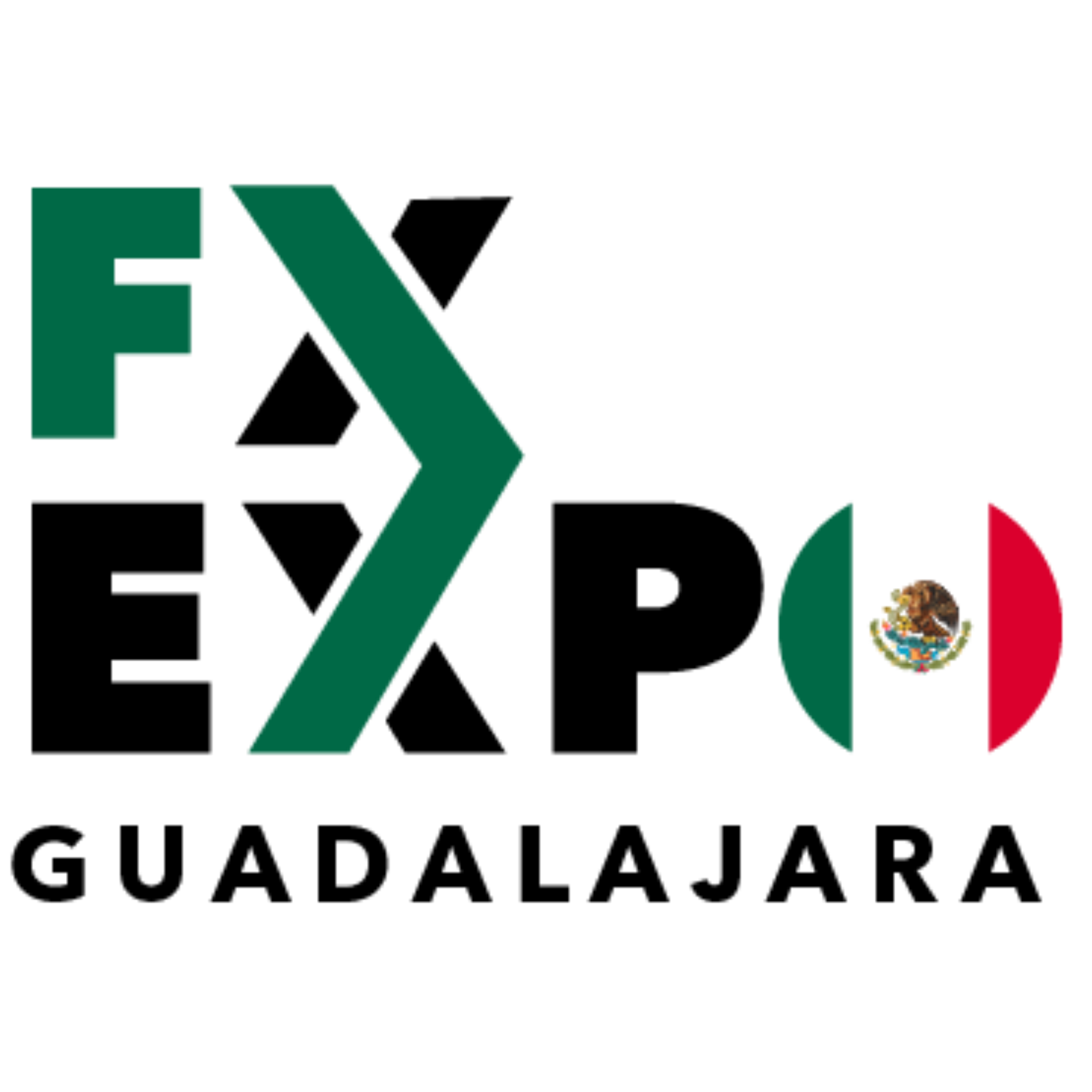 FX Expo Guadalajara