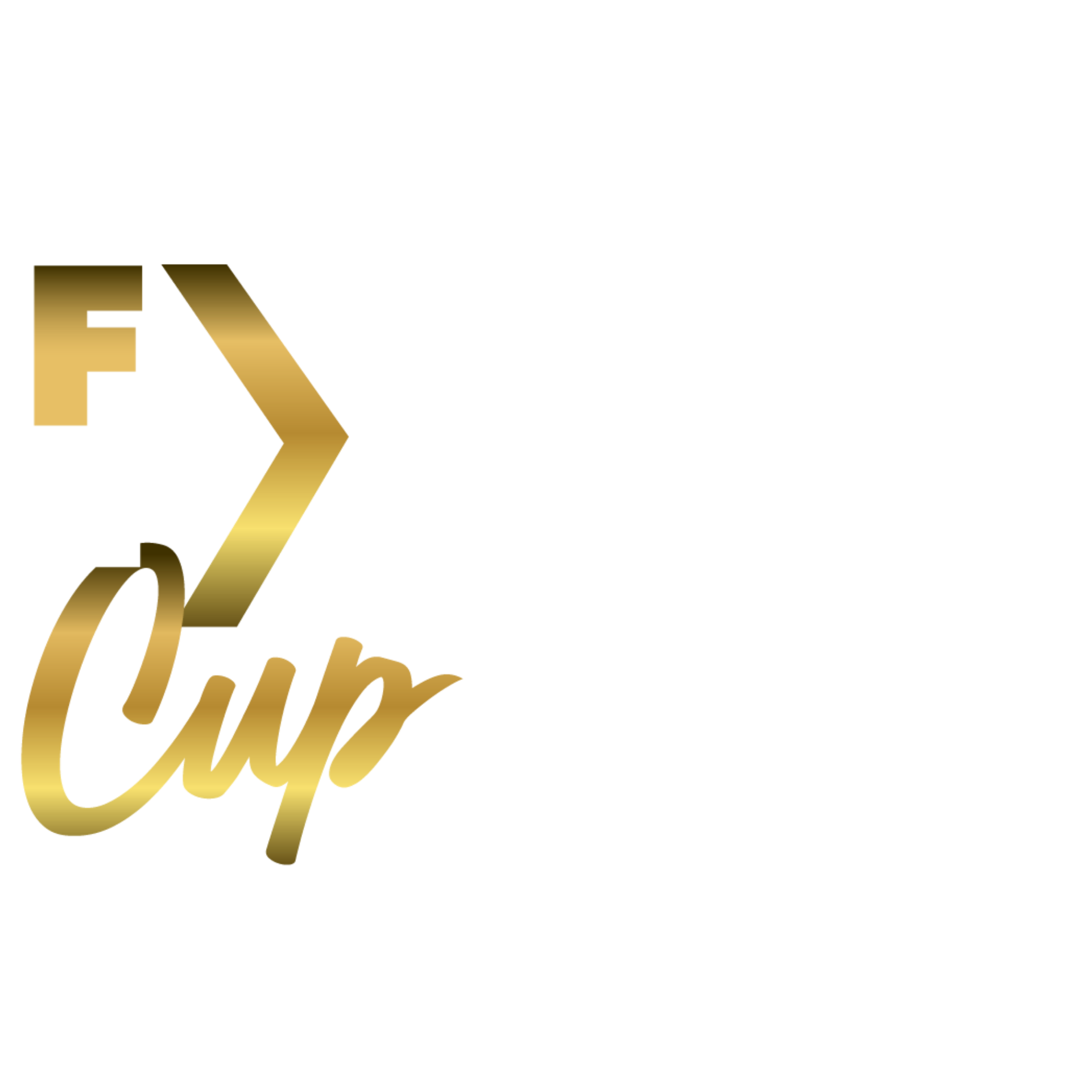 Coupe des experts du Forex