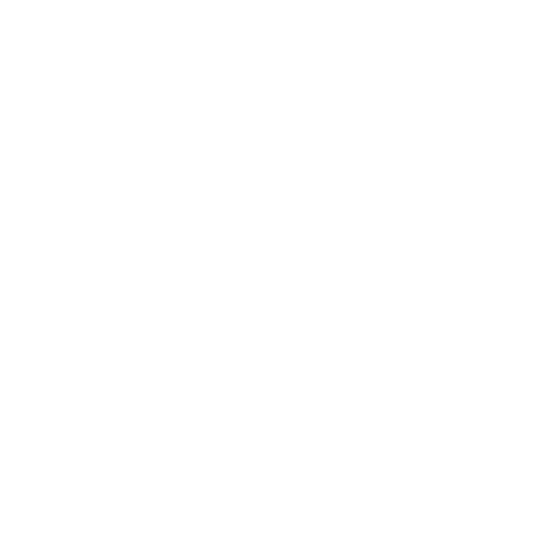 Horizon Consulting
